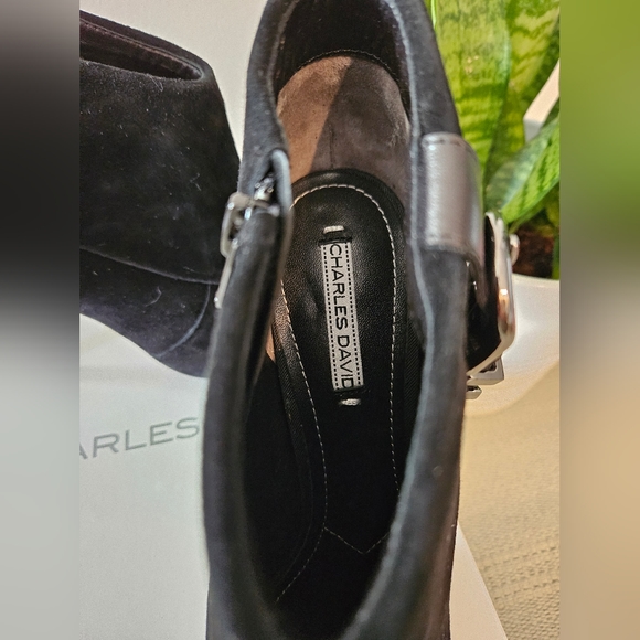 Charles David Valle pointy toe bootie - Picture 5 of 10